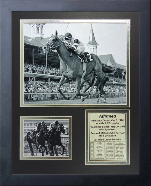 11x14 Framed Affirmed 1978 Triple Crown Winner Steve Cauthen 8x10 Photo