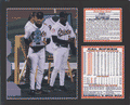 Cal Ripken Retirement with Career Stats, 11x14 Framed and Matted