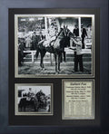 Gallant Fox 1930 Triple Crown Winner 11x14 Framed 8x10 Photo Earl Sande