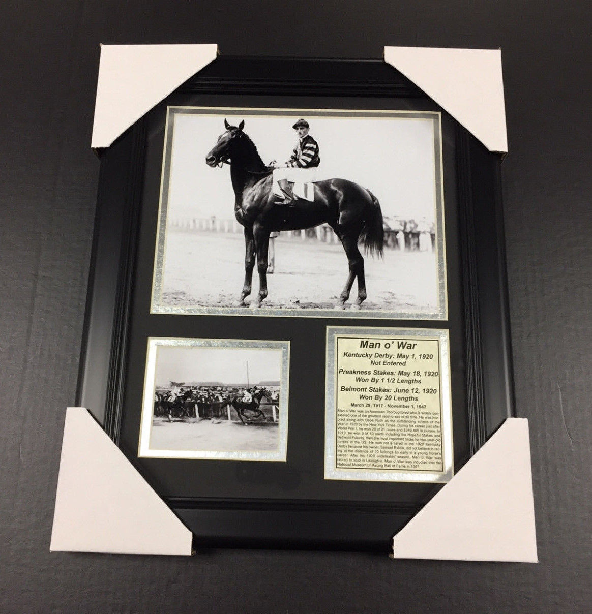 Man O' War 8x10 Framed Photo 1977 Triple Crown Winner