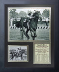 Seattle Slew 11x14 Framed 8x10 Photo 1977 Triple Crown Winner Jean Cruguet