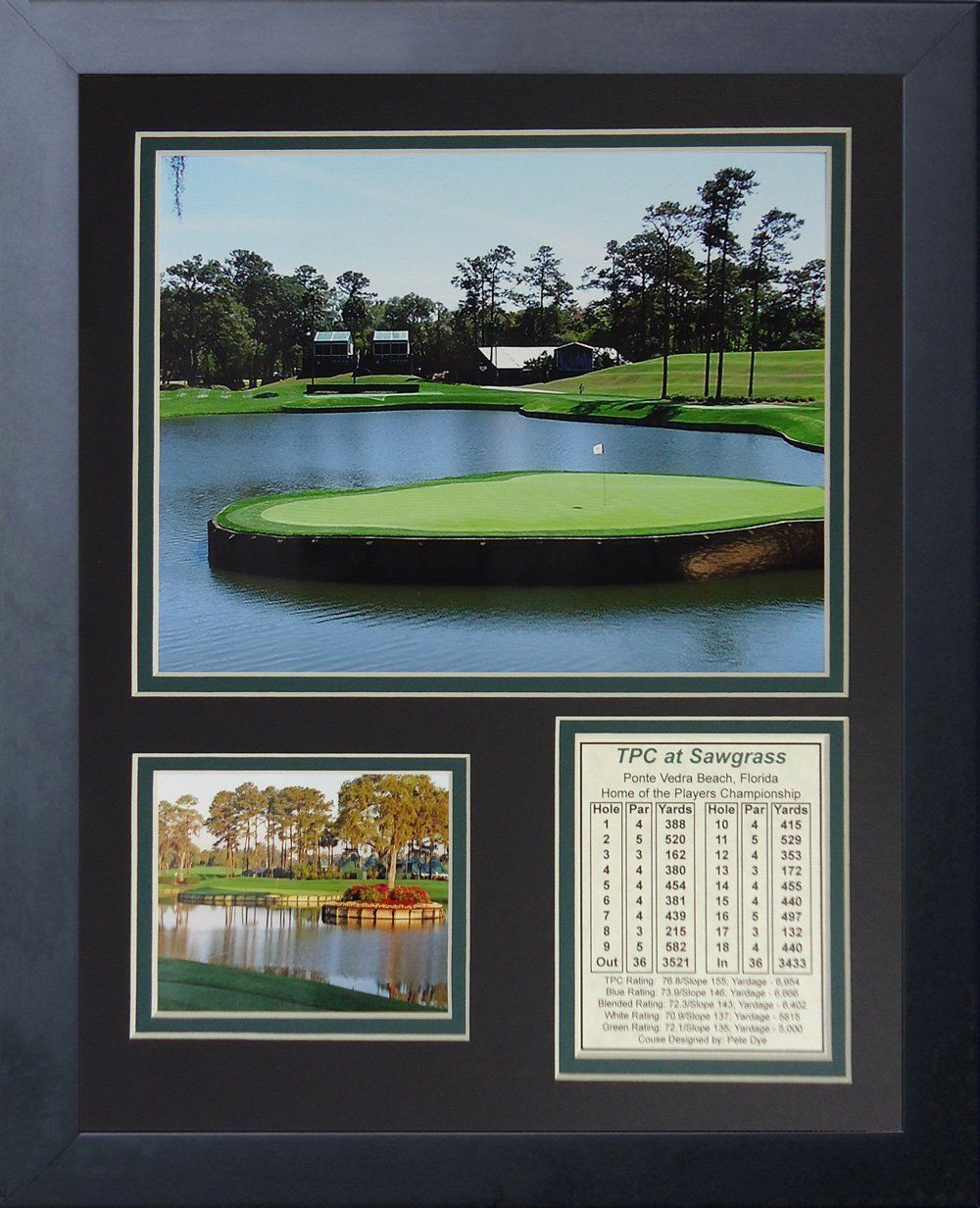 TPC Sawgrass Hole #17 Players Championship 8x10 Photo