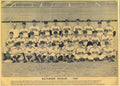 1950 Baltimore Orioles 8x10 Team Photo