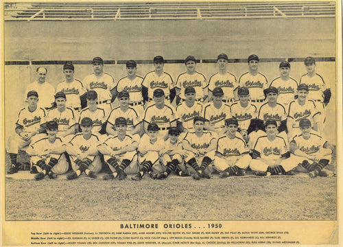 1950 Baltimore Orioles 8x10 Team Photo
