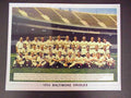 1954 Baltimore Orioles Team 8x10 Photo