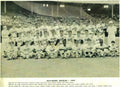 1959 Baltimore Orioles 8x10 Team Photo