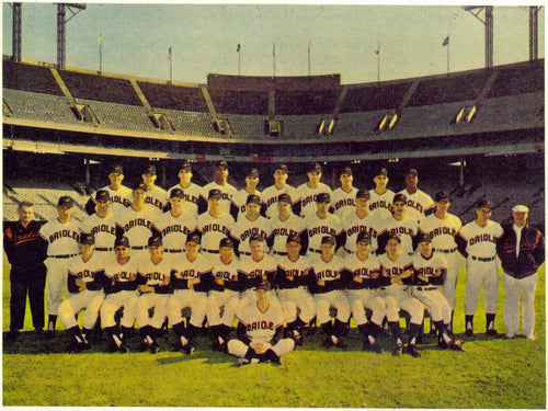 1965 Baltimore Orioles 8x10 Team Photo