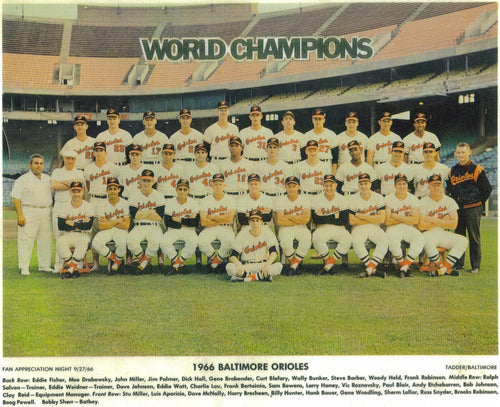 1966 Baltimore Orioles World Champions Team Photo 8x10