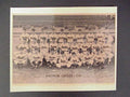 1949 Baltimore Orioles Team Photo 8x10