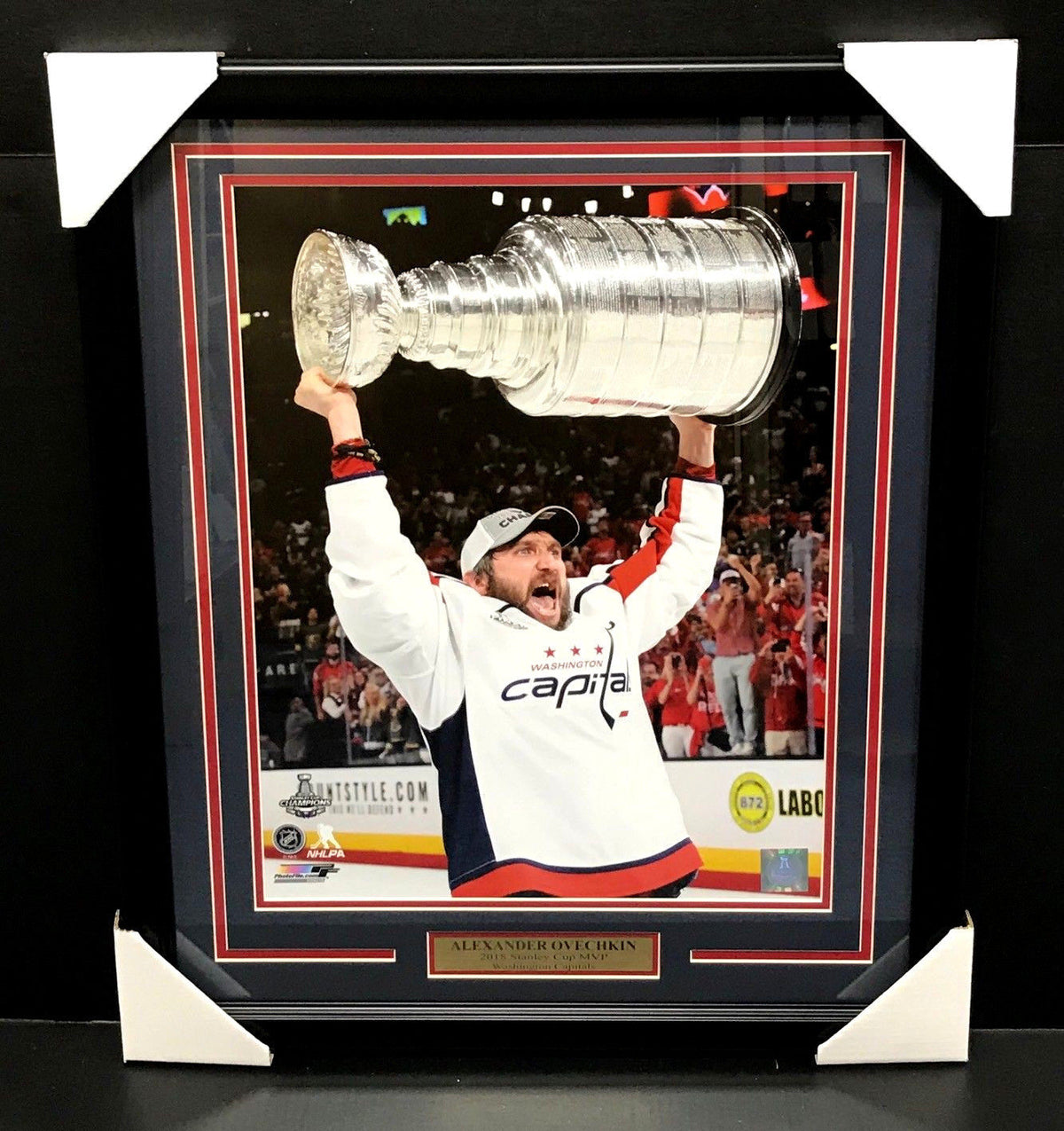 Alex Ovechkin Washington Capitals 16x20 Framed 2018 Stanley Cup Trophy MVP