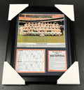 Baltimore Orioles 1966 World Series Champs Team Photo 11x14 Framed