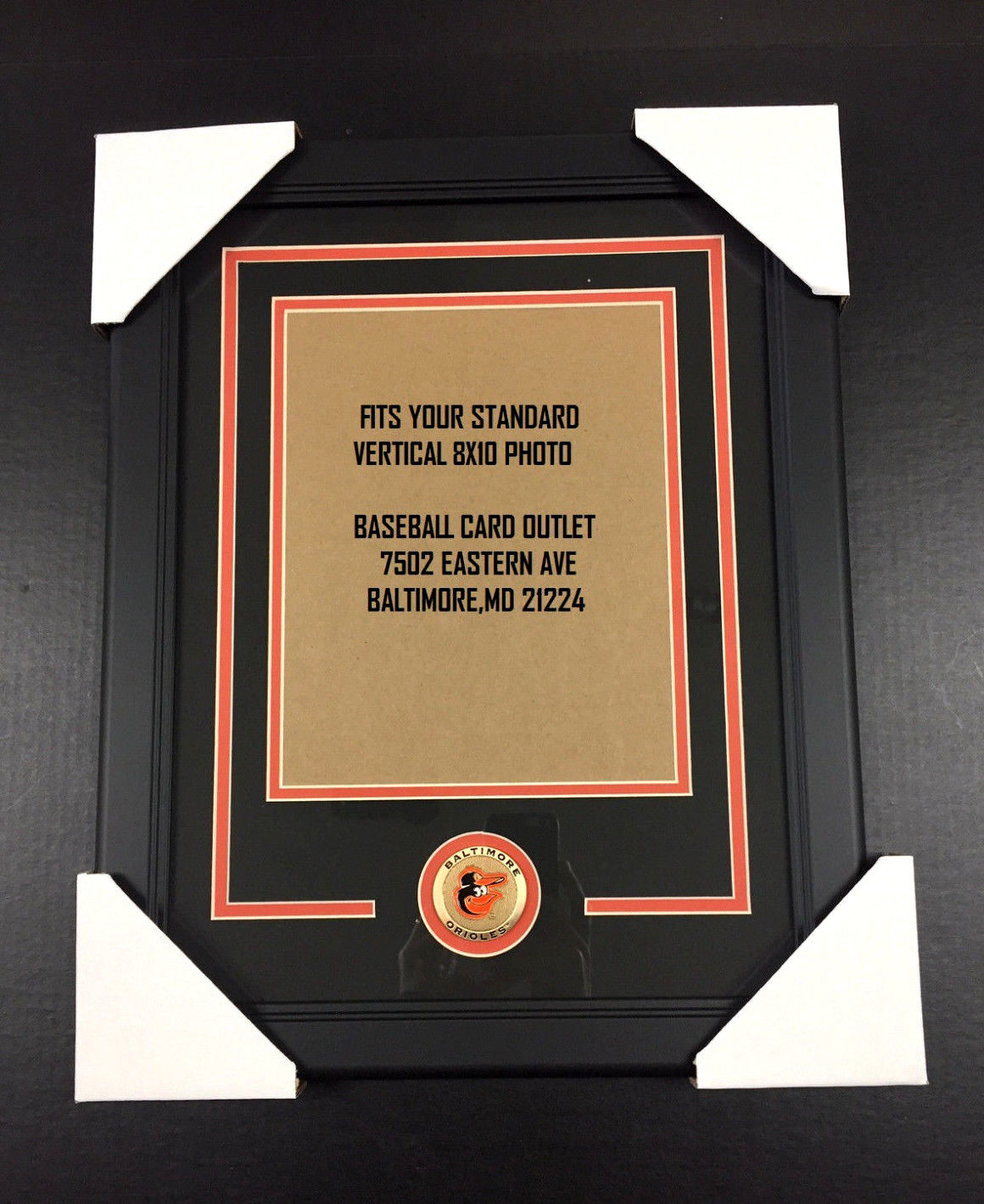 Baltimore Orioles Medallion Frame Kit 8x10 Photo Double Mat Vertical