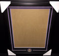 Baltimore Ravens Medallion Frame Kit 16x20 Photo Double Mat Vertical