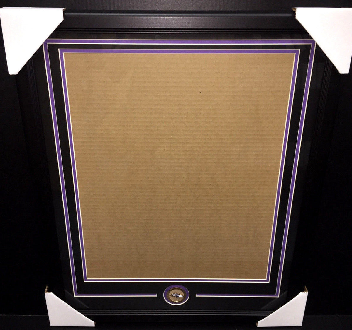 Baltimore Ravens Medallion Frame Kit 16x20 Photo Double Mat Vertical