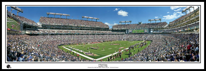 Baltimore Ravens Panoramic Photo 9 Yard Line