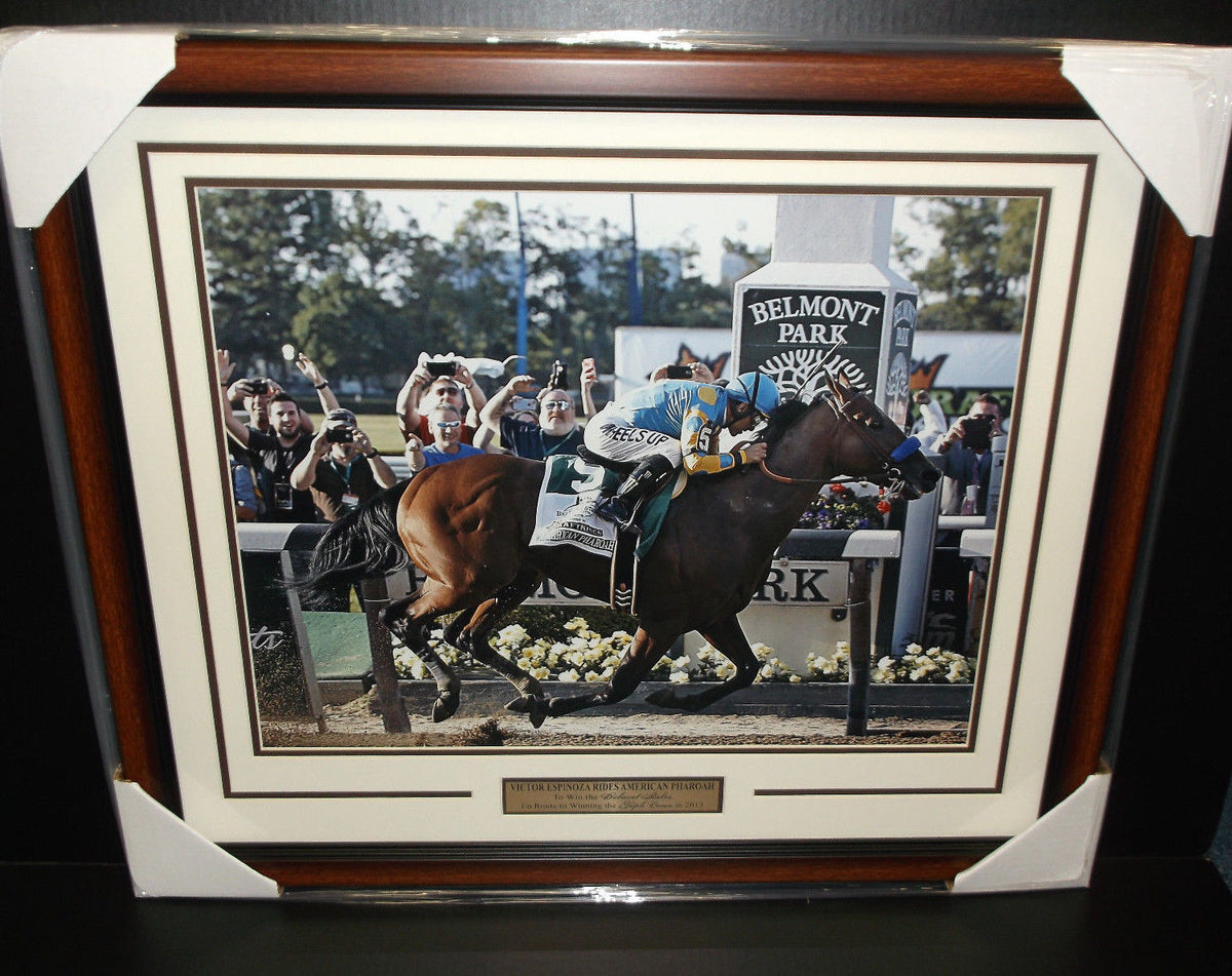 American Pharoah Victor Espinoza 2015 Belmont Stakes Framed 16x20 Photo