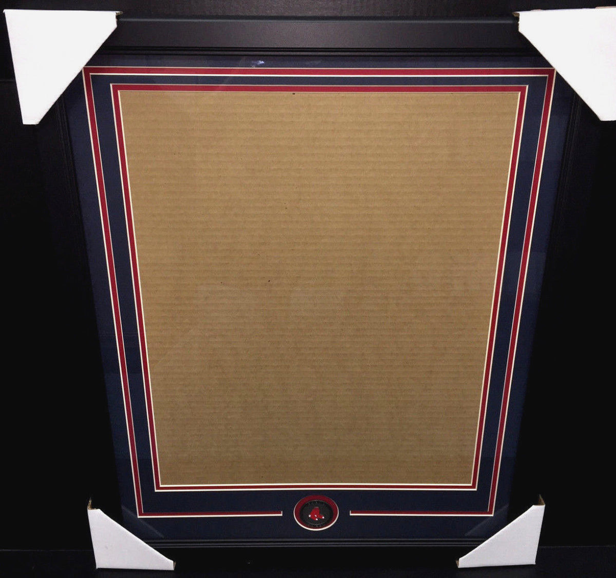 Boston Red Sox Medallion Frame Kit for 16x20 Photo Vertical Mat