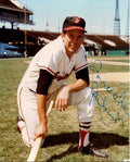 Brooks Robinson Autographed Baltimore Orioles 8x10 Photo BCO COA