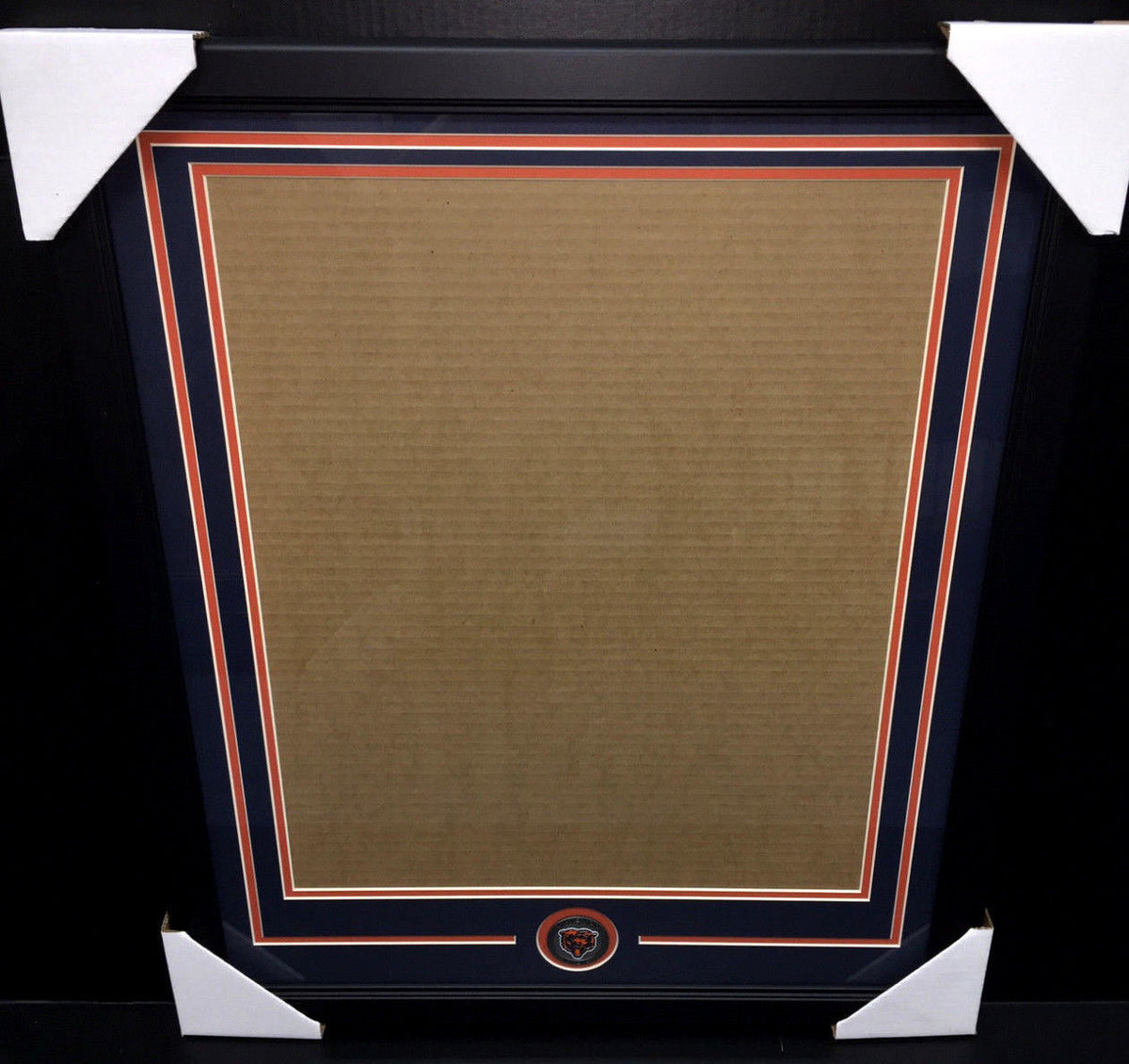 Chicago Bears Medallion 16x20 Vertical Photo Frame Kit