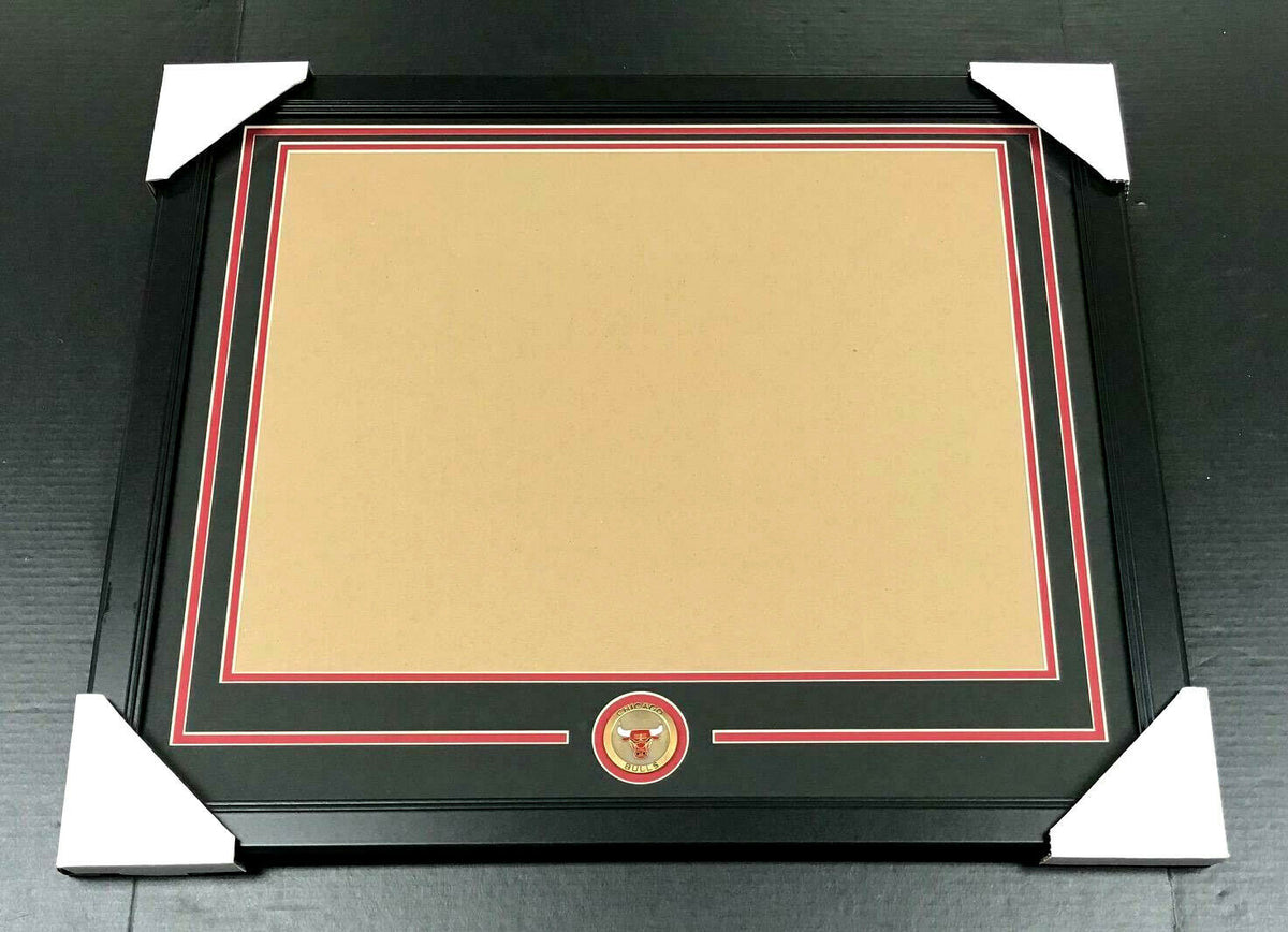 Chicago Bulls Medallion 16x20 Horizontal Photo Frame Kit
