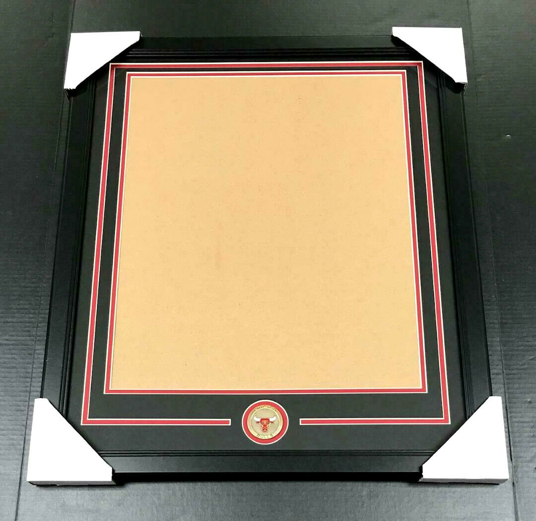 Chicago Bulls Medallion 16x20 Vertical Photo Frame Kit