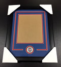 Chicago Cubs Medallion Frame Kit 8x10 Photo Double Mat Vertical