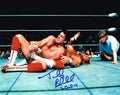 Four Horseman Tully Blanchard Autographed 8x10 Photo