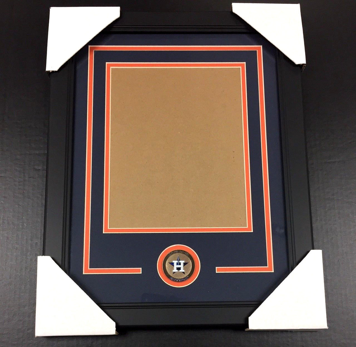 Houston Astros Medallion 8x10 Vertical Photo Frame Kit