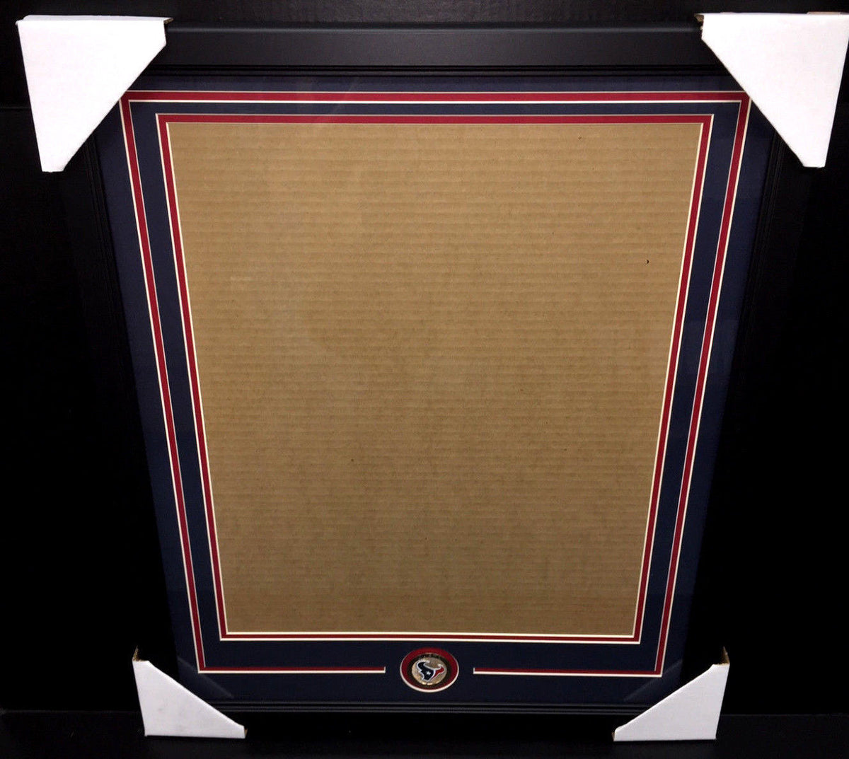 Houston Texans Medallion Frame Kit 16x20 Photo Double Mat Vertical