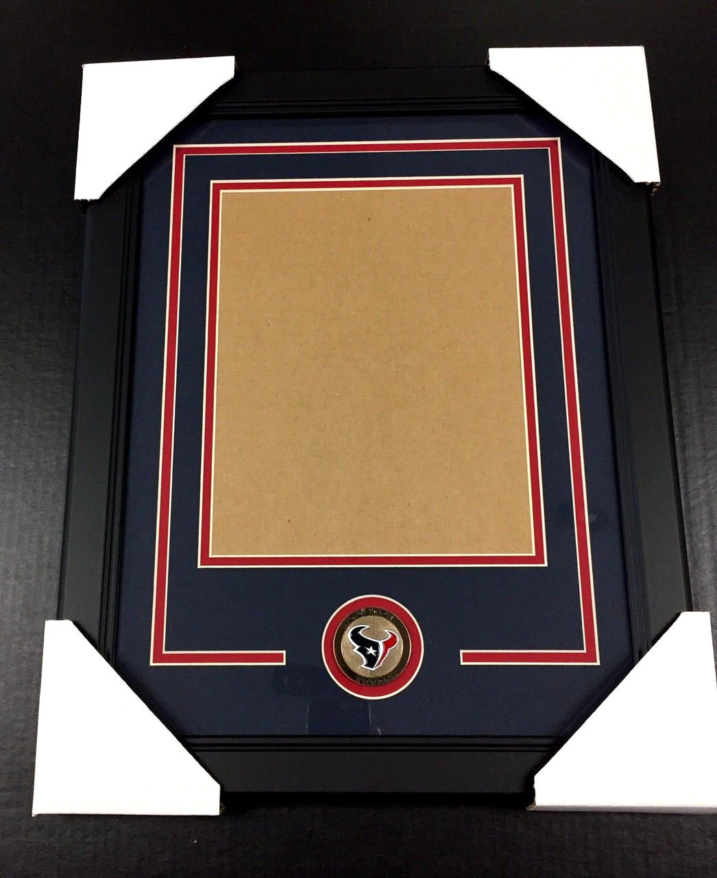 Houston Texans Medallion Frame Kit 8x10 Photo Double Mat Vertical