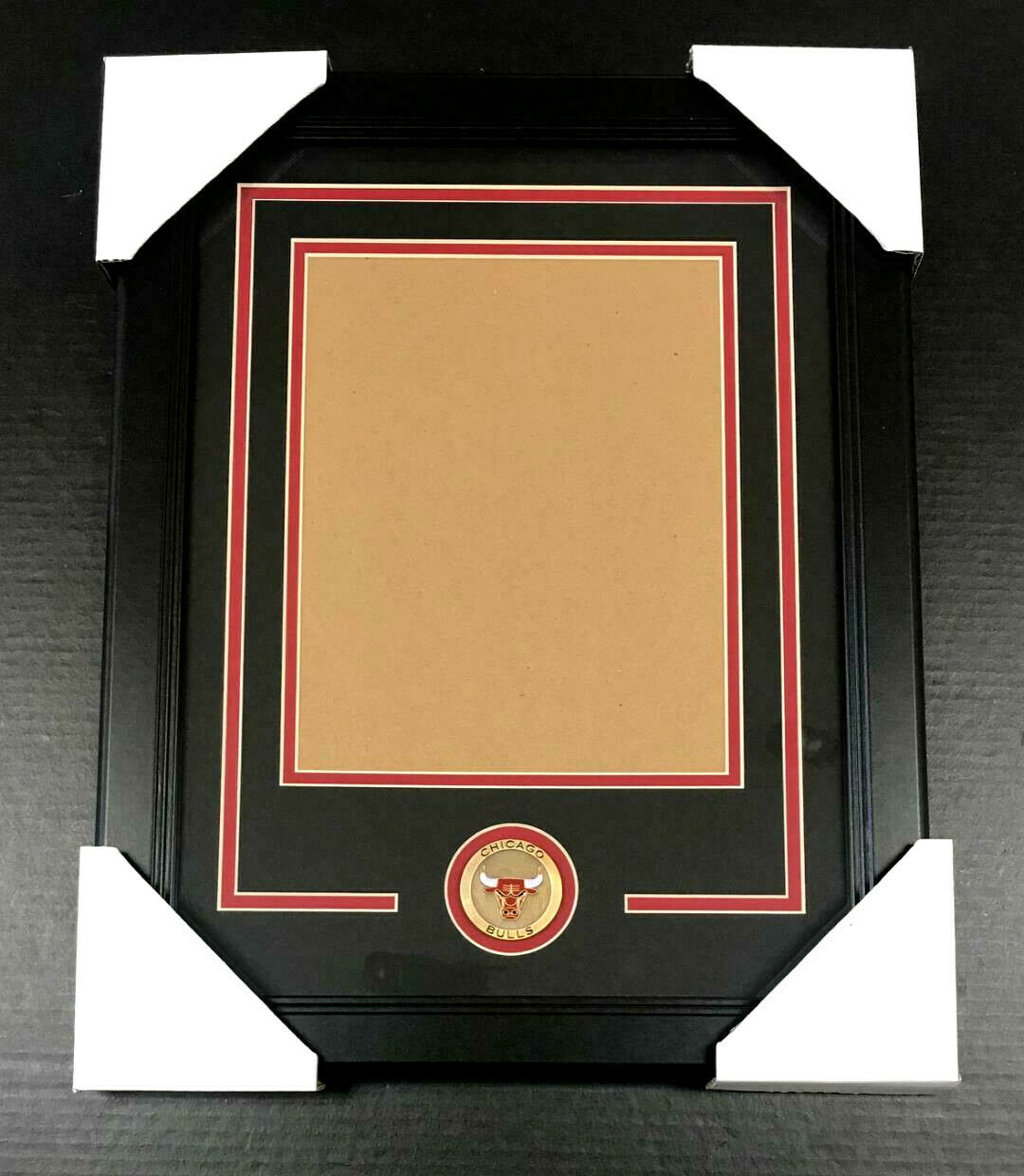 Chicago Bulls Medallion Frame Kit for 8x10 Vertical Photo