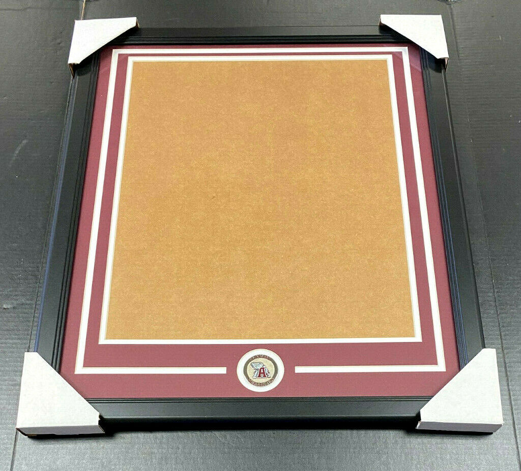 Alabama Crimson Tide Medallion Frame Kit 16x20 Photo Double Mat Vertical