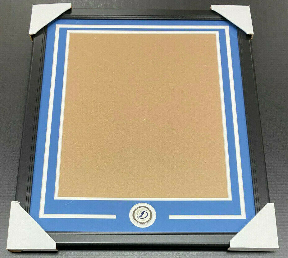 Tampa Bay Lightning Medallion Frame Kit 16x20 Vertical