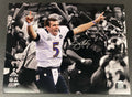 Joe Flacco Baltimore Ravens Autographed 16x20 Super Bowl XLVII Photo JSA COA
