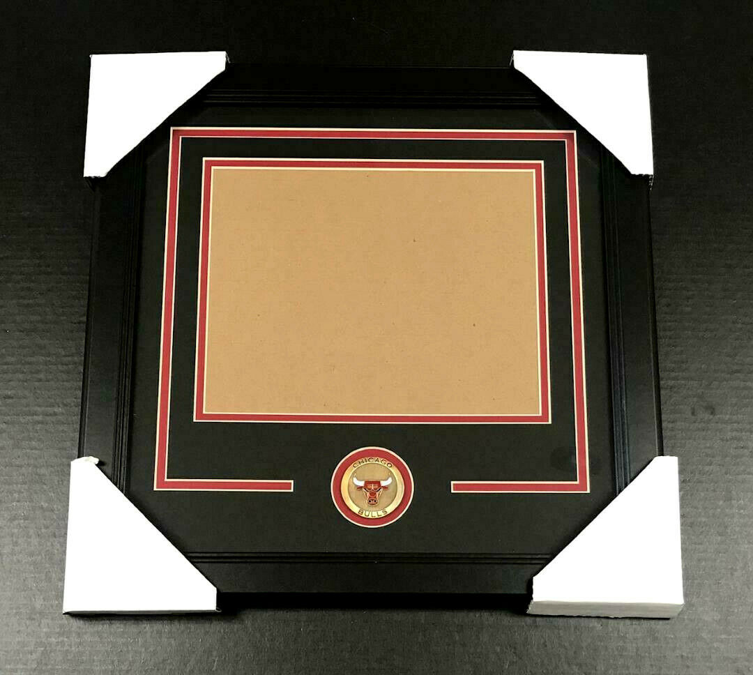 Chicago Bulls Medallion 8x10 Horizontal Photo Frame Kit