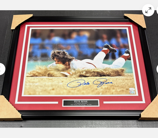 Pete Rose Reds Autographed 16x20 Dive Photo Framed JSA COA