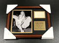 Marilyn Monroe Facsimile Reprint Framed 8x10 Photo New York City