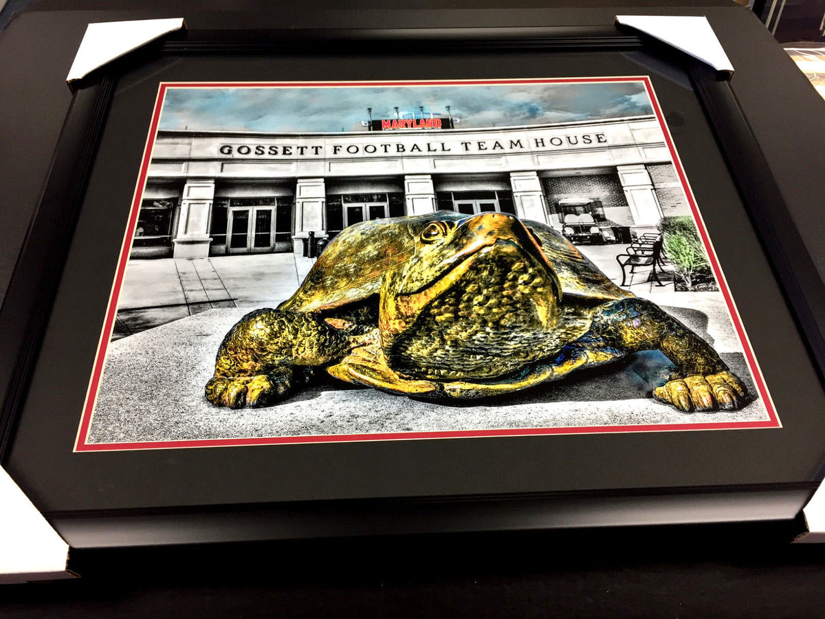 Maryland Terrapins Football Gossett Stadium 16x20 Photo by Local Artist