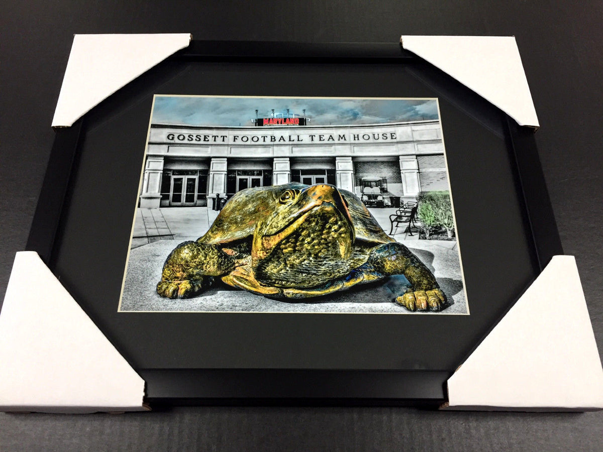 Maryland Terrapins Football Gossett Stadium 8x10 Photo by Local Artist