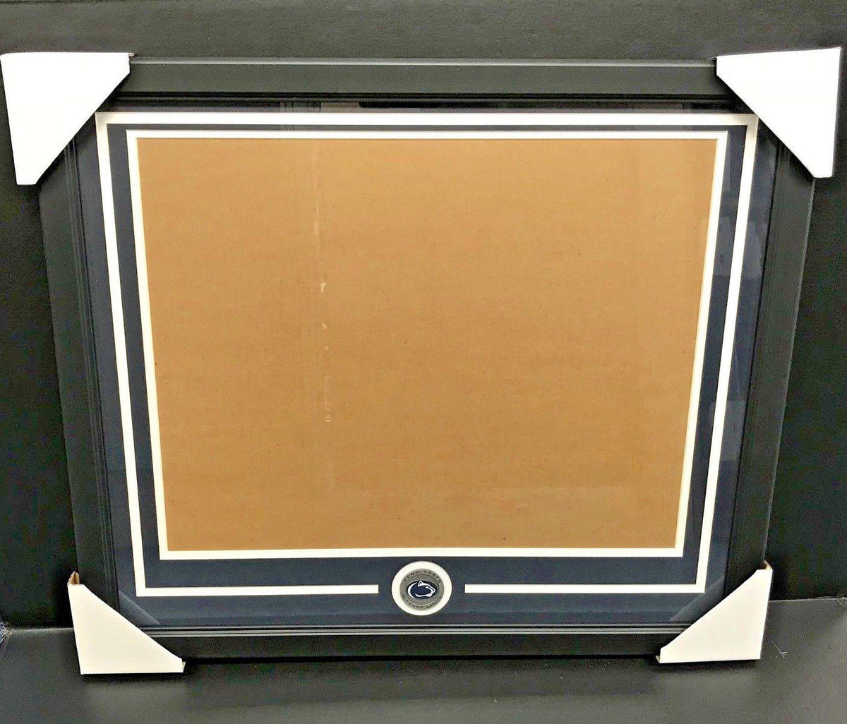 Penn State Nittany Lions Medallion 16x20 Photo Double Mat Frame Kit Horizontal