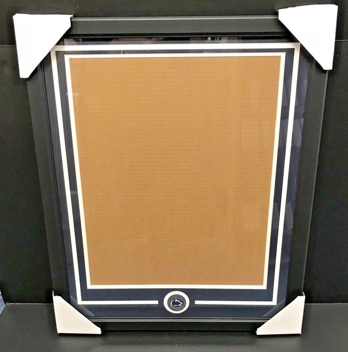 Penn State Nittany Lions Medallion 16x20 Photo Double Mat Frame Kit Vertical