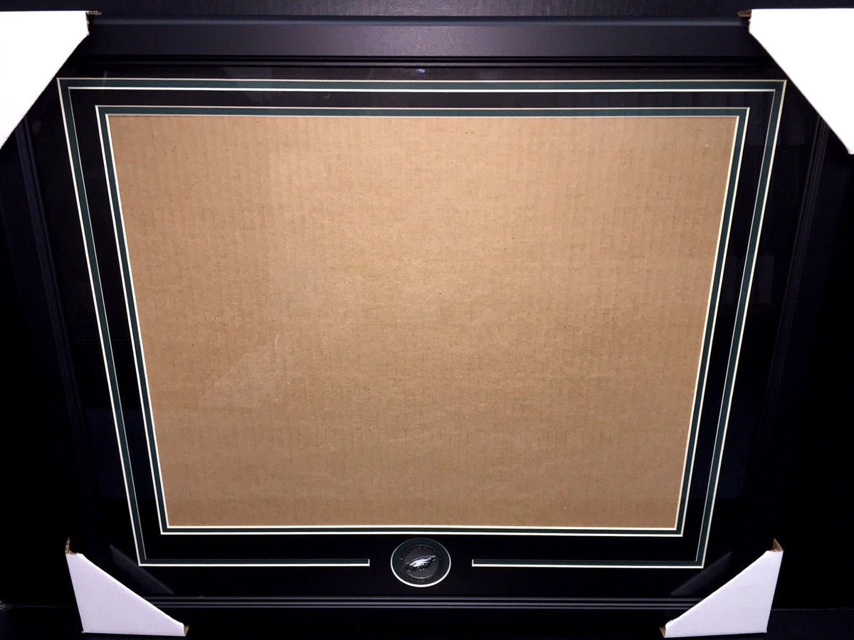 Philadelphia Eagles Medallion 16x20 Photo Double Mat Frame Kit Horizontal
