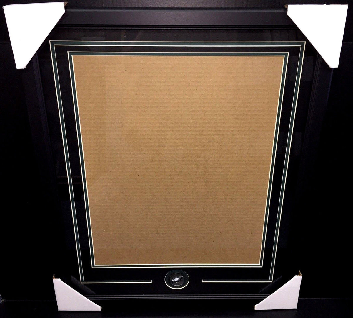Philadelphia Eagles Medallion 16x20 Photo Double Mat Frame Kit Vertical