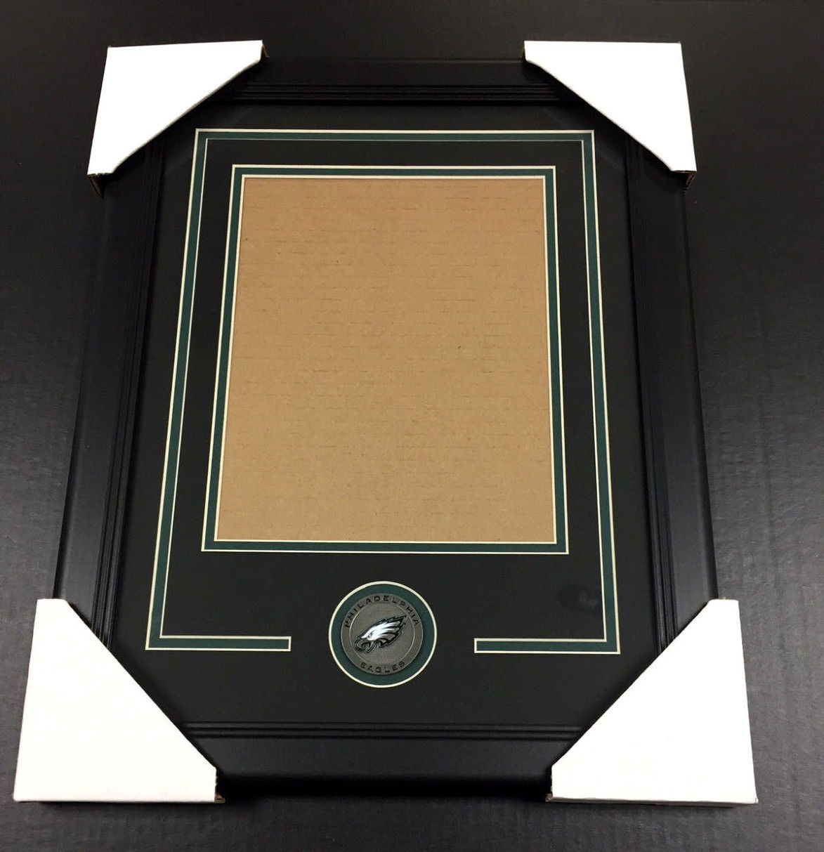 Philadelphia Eagles Medallion 8x10 Photo Double Mat Frame Kit Vertical