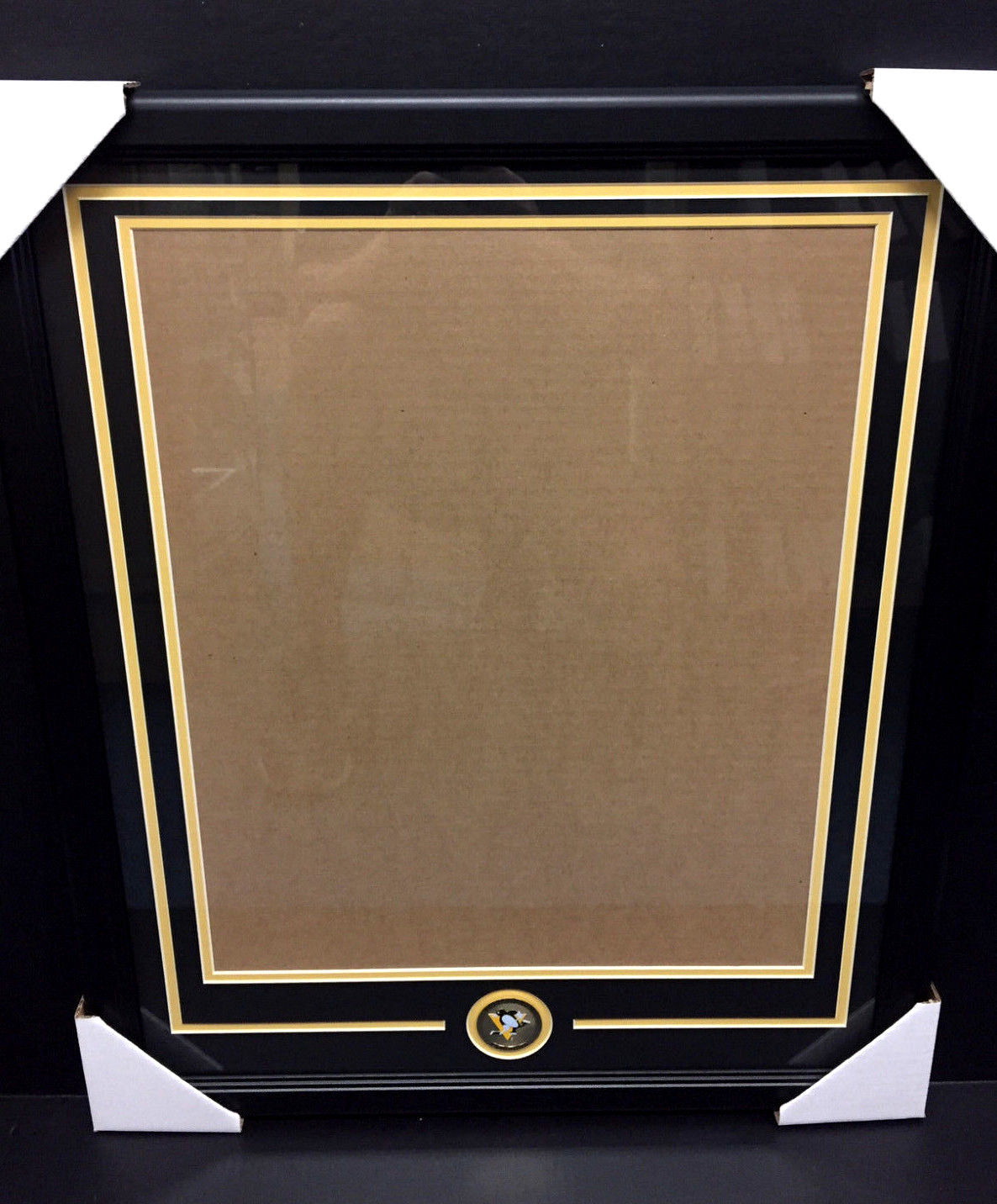 Pittsburgh Penguins Medallion Photo Frame Kit 16x20 Vertical