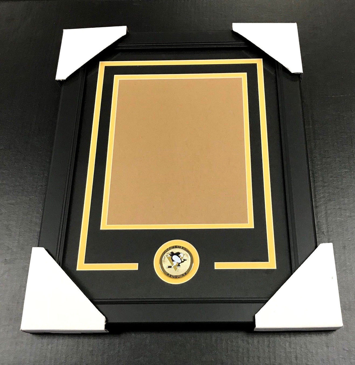 Pittsburgh Penguins Medallion Photo Frame Kit 8x10 Vertical