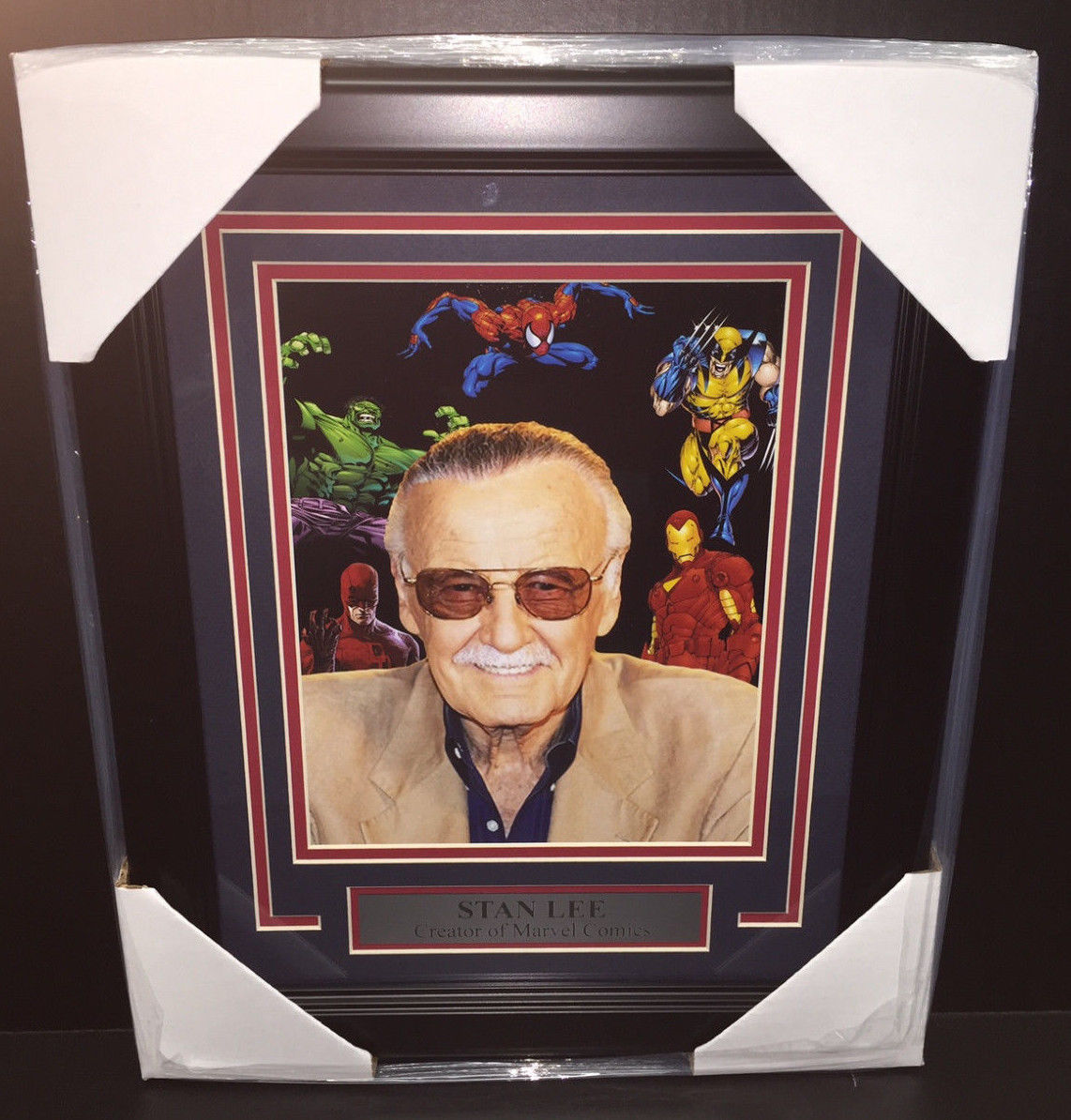 Stan Lee Creator of Marvel Comics Framed 8x10 Photo Spiderman Ironman Avengers