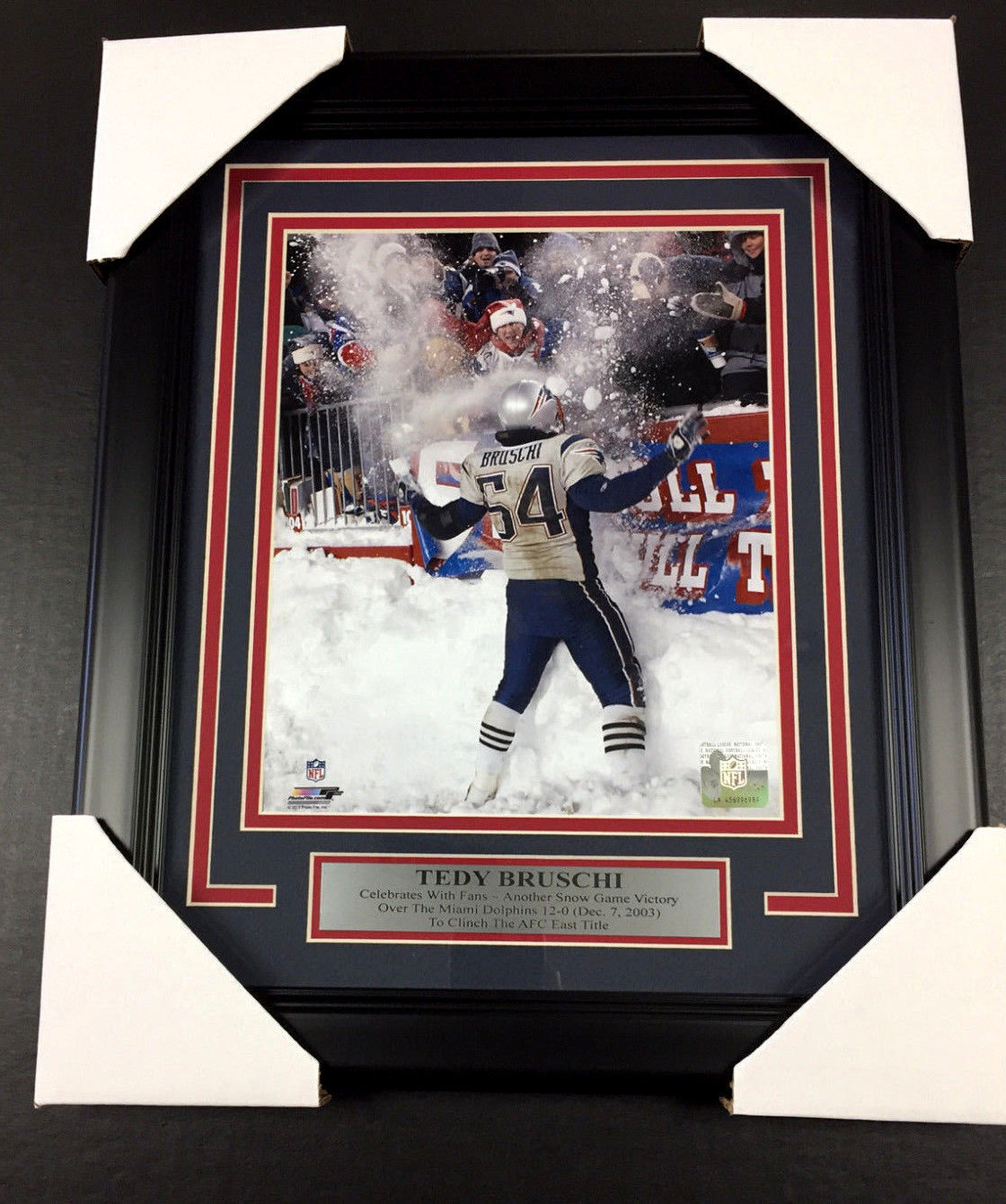 Tedy Bruschi Snow Game New England Patriots Framed 8x10 Photo with Nameplate