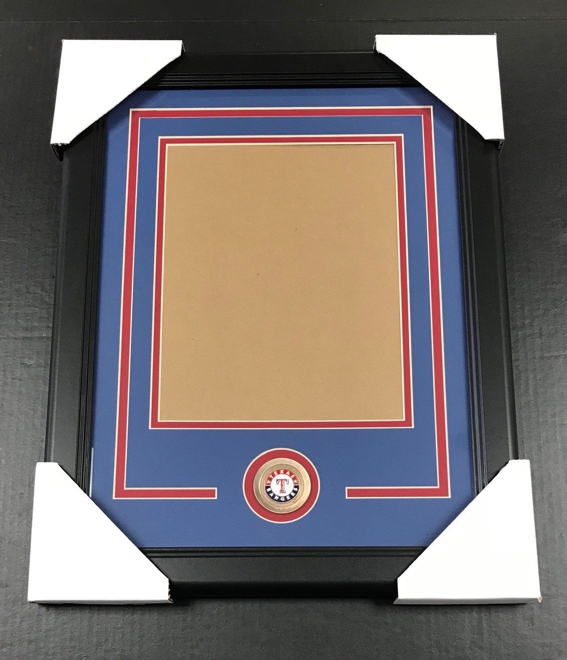 Texas Rangers Medallion Frame Kit 8x10 Photo Double Mat Vertical