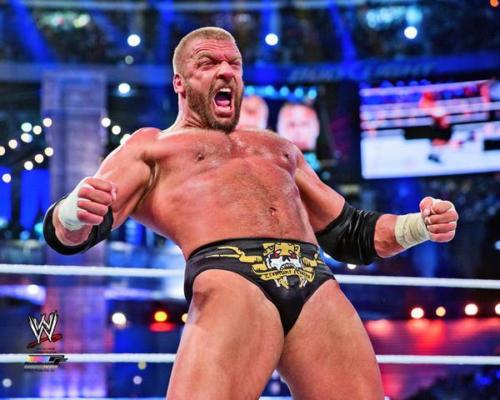 Triple H Wrestlemania 29 Action WWE WWF Wrestling 8x10 Photo Unsigned